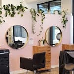 Wild Orchid Salon Bee Cave logo